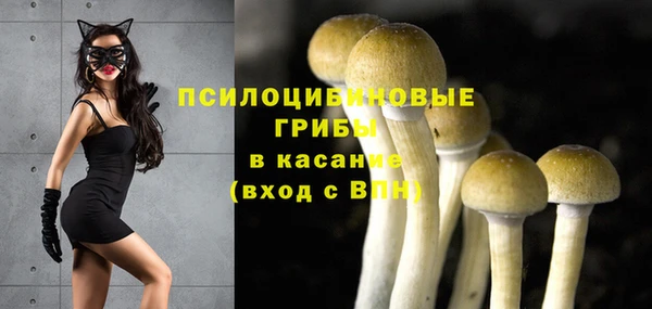 дурь Балахна