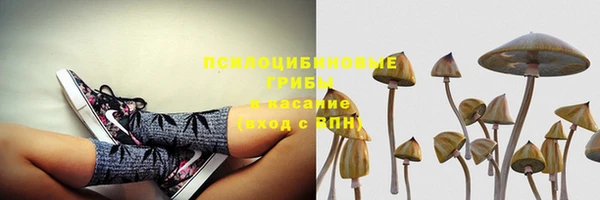 ПСИЛОЦИБИНОВЫЕ ГРИБЫ Аркадак