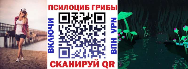 Псилоцибиновые грибы Psilocybine cubensis Семикаракорск