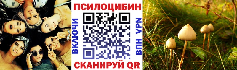 Псилоцибиновые грибы ЛСД  Купить где  Семикаракорск 